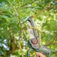 image 6 of Webb Eco 20V 15cm Cordless Pruning Saw with Telescopic Extension Pole | Multi | 1 x Cordless Pruning Saw and Extension Pole