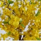 image 5 of 150cm Artificial Forsythia Tree