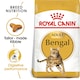 image 1 of Royal Canin Bengal 10KG
