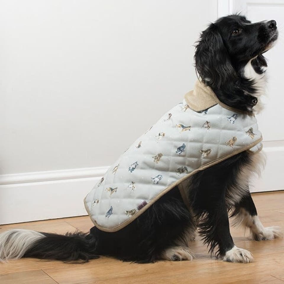 image 1 of Wrendale Designs Dog Coat 55cm
