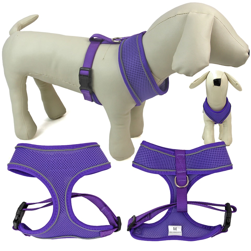 image 1 of No-Pull Dog Harness – Reflective Adjustable Mesh Vest for Dogs – Lightweight, Padded & Breathable – Easy Fit for Walking or Training – Multiple Sizes & Colours