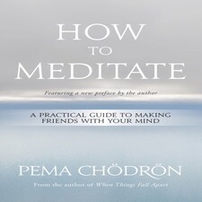 How To Meditate