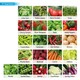 image 4 of Pronto Seed Gardeners Collection - 69 Flower, Herb & Vegetable Seeds in Jute Gift Bag - 7,540 Seeds - Gift for Gardeners
