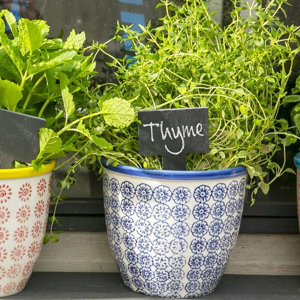 image 1 of Nicola Spring Hand-Printed Plant Pot - 14cm - Navy Blue