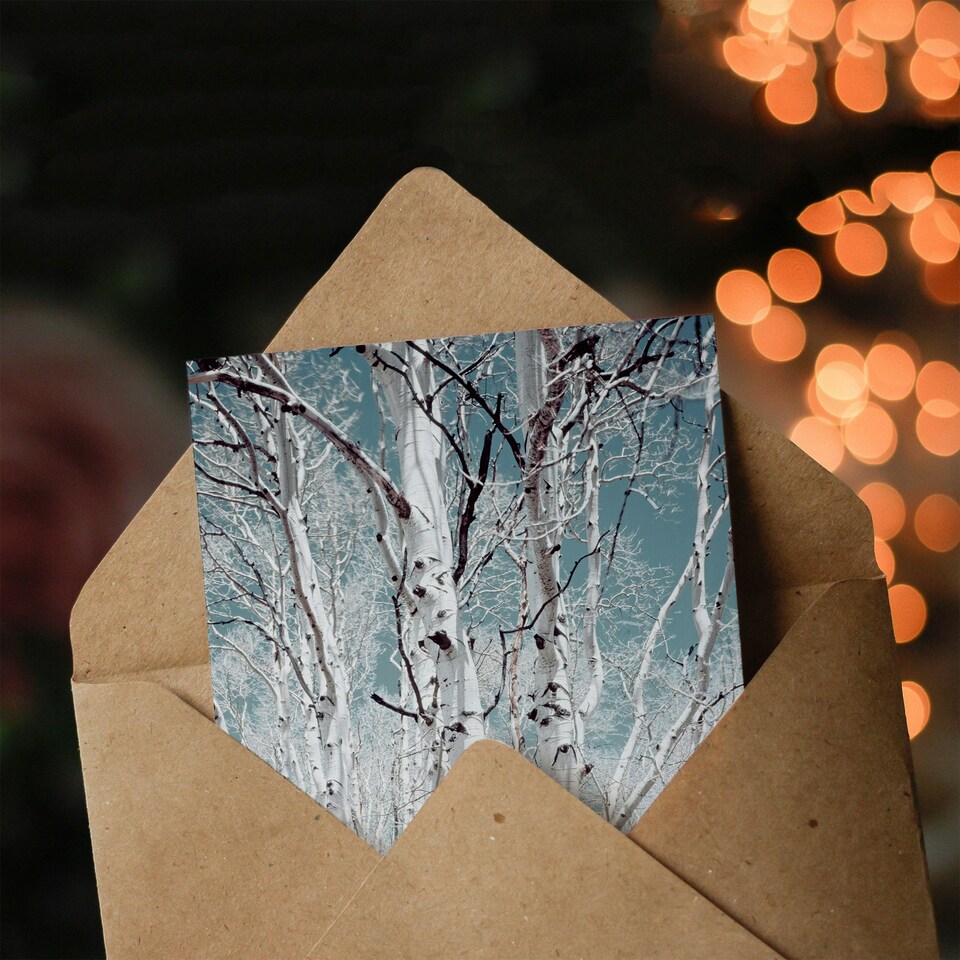 image 1 of Carol M Highsmith Art Card Birch Trees in Utah Photograph