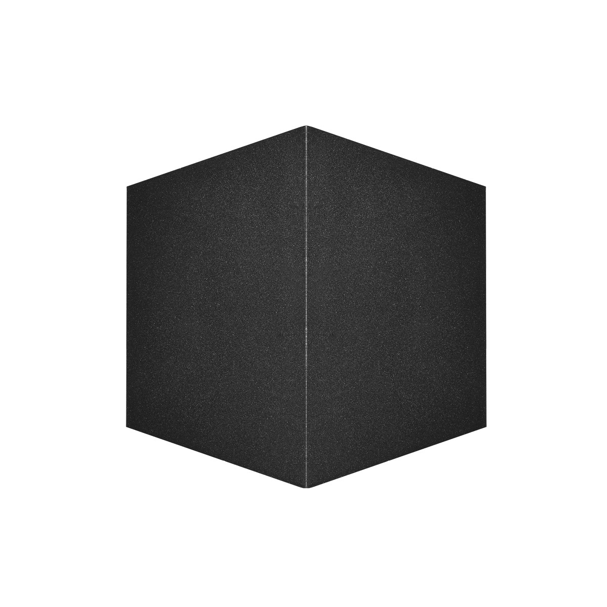Netlighting Bari Outdoor Up Down Wall Lamp Black 4000K Neutral White 2xLED IP54