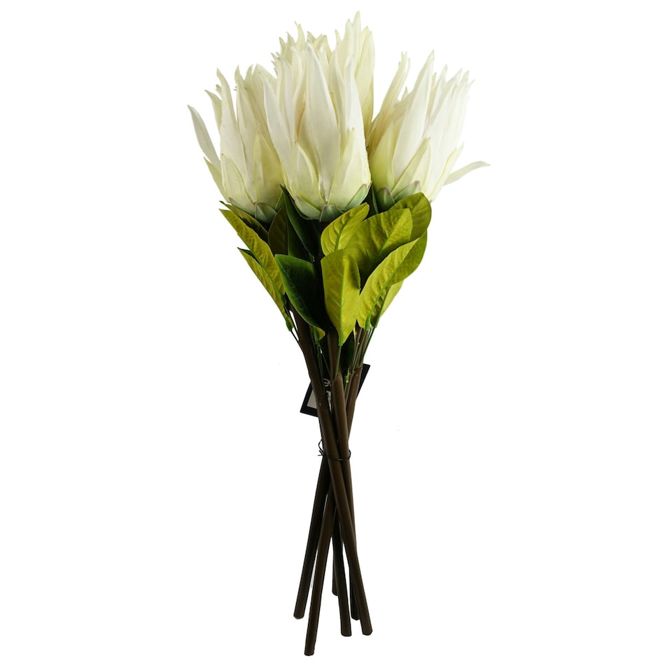 image 1 of 65cm Protea Sugarbush Flower Stem - White