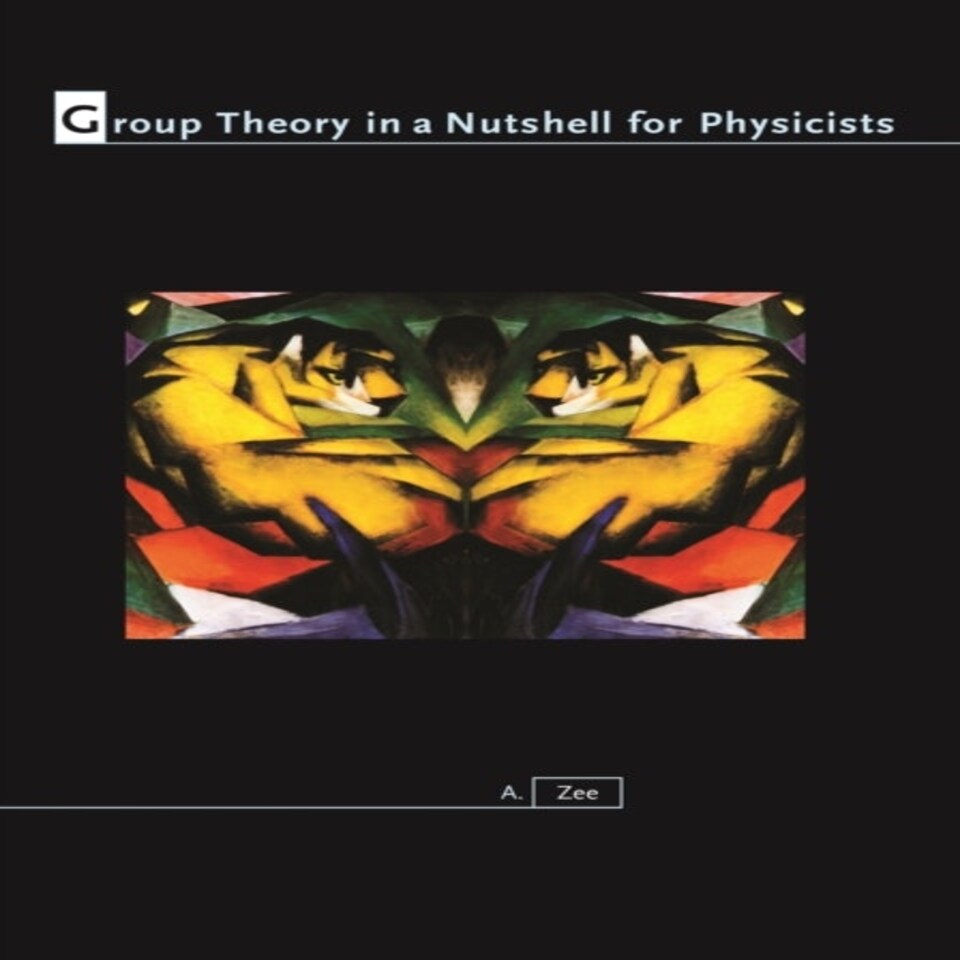 Group Theory In A Nutshell For Physicists