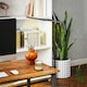 image 8 of HOMCOM Double Head Table Lamp with 3 Colour Modes & 10 Dimmable, Black | Black | 61W x 5.5D x 64H cm