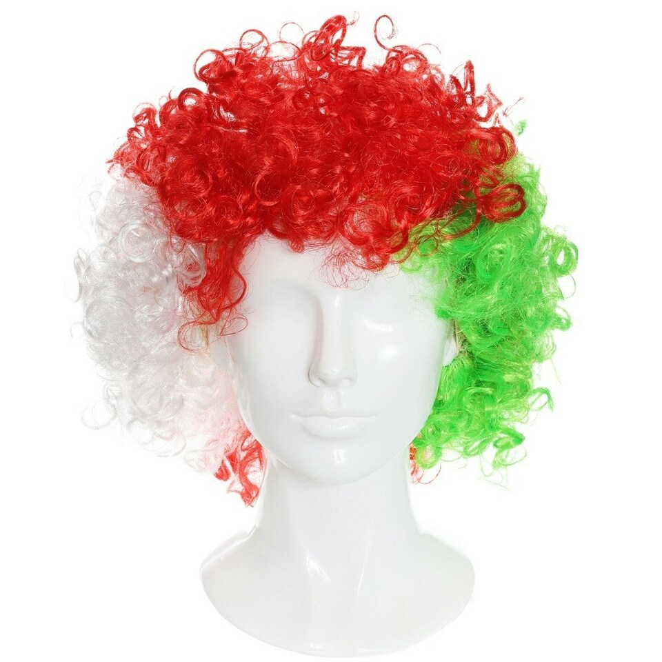 image 1 of Pack of 6 Welsh Supporters Curly Wig Multi | One Size