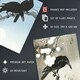 image 4 of Set of 3 Ohara Koson Crows Black White Blue Japanese A3 Wall Art Prints | Multi