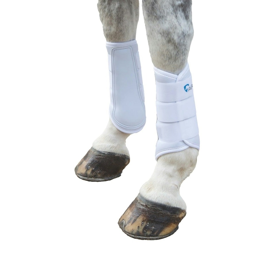ARMA Neoprene Horse Brushing Boots - White - X Full