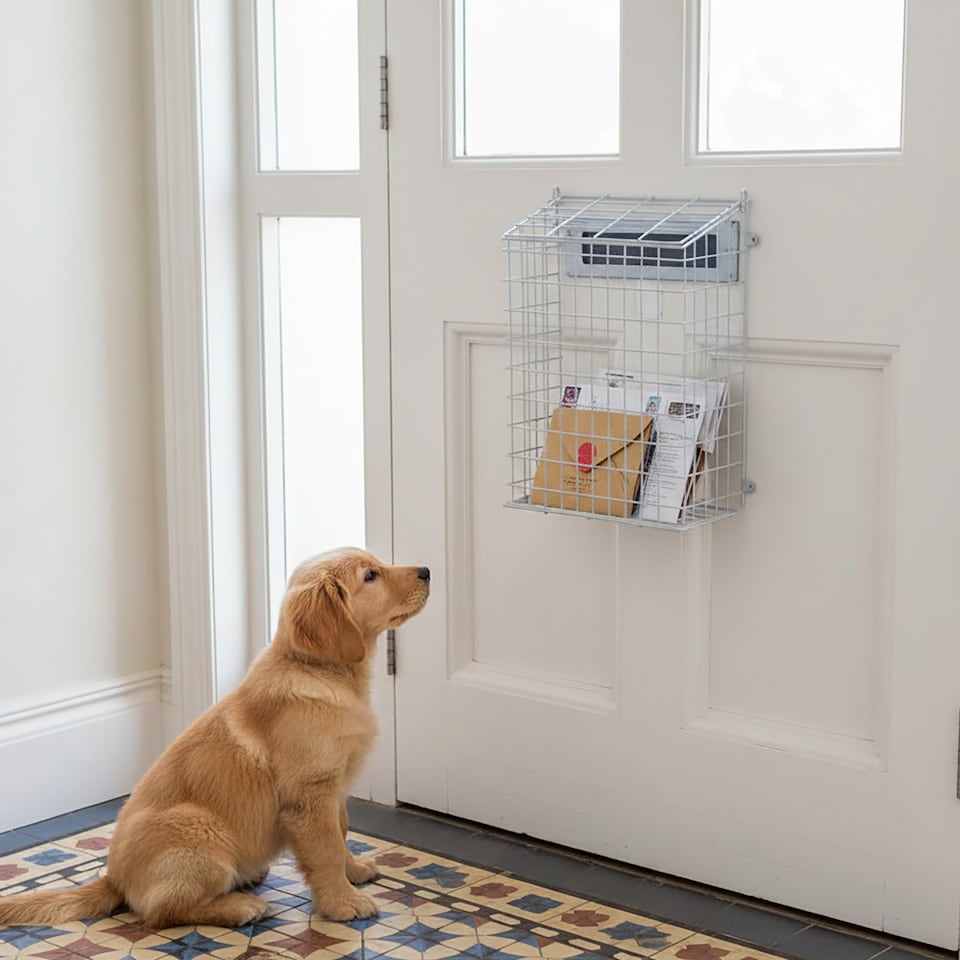 image 1 of Actiasgear - Front Door Letter Cage/Mail Catcher | White (Medium)