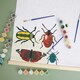 image 4 of RHS Paint by Numbers Kit, Bug Study, Multicoloured, 400 x 500mm
