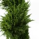 image 2 of Pair 120cm Premium Artificial Cypress Spiral Topiary | Green | 4ft