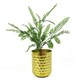 image 3 of 6 x 55cm Himilayan Maidenhair Fern Bush Dark Green Plant