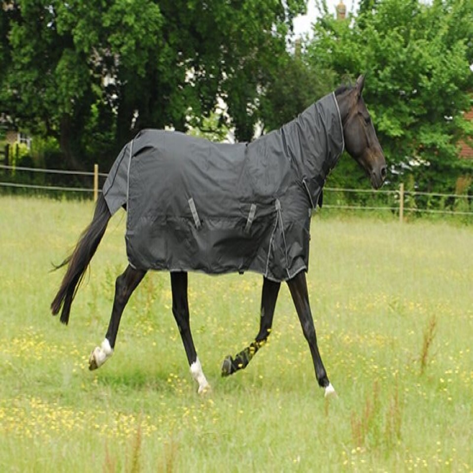 image 1 of Rhinegold Full Neck Konig Black | Size: 4ft 9
Colour: Black