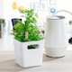 image 3 of Wham Studio 5 x 720ml Square Plastic Storage Baskets White