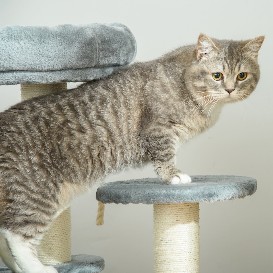 image 1 of PawHut 65cm Cat Tower, Small Cat Condo with Sisal Posts, Rope, Perches Grey