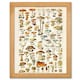 image 1 of Millot Encyclopedia Mushrooms Fungi Kitchen Wood Framed Wall Art Print