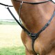image 2 of Shires Salisbury Three Point Breastplate Black | Size: Full
Colour: Black