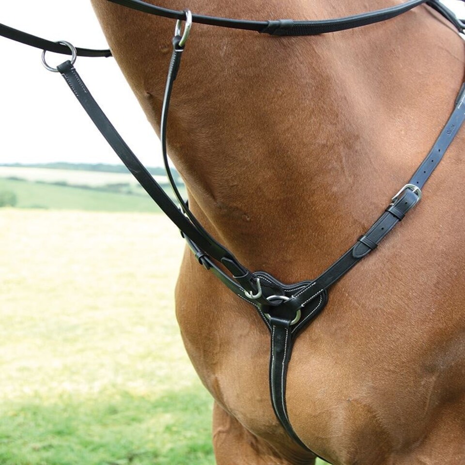image 1 of Shires Salisbury Three Point Breastplate Black | Size: Full
Colour: Black