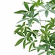 image 2 of 180cm Artificial Money Tree Pachira Realistic Faux Tree