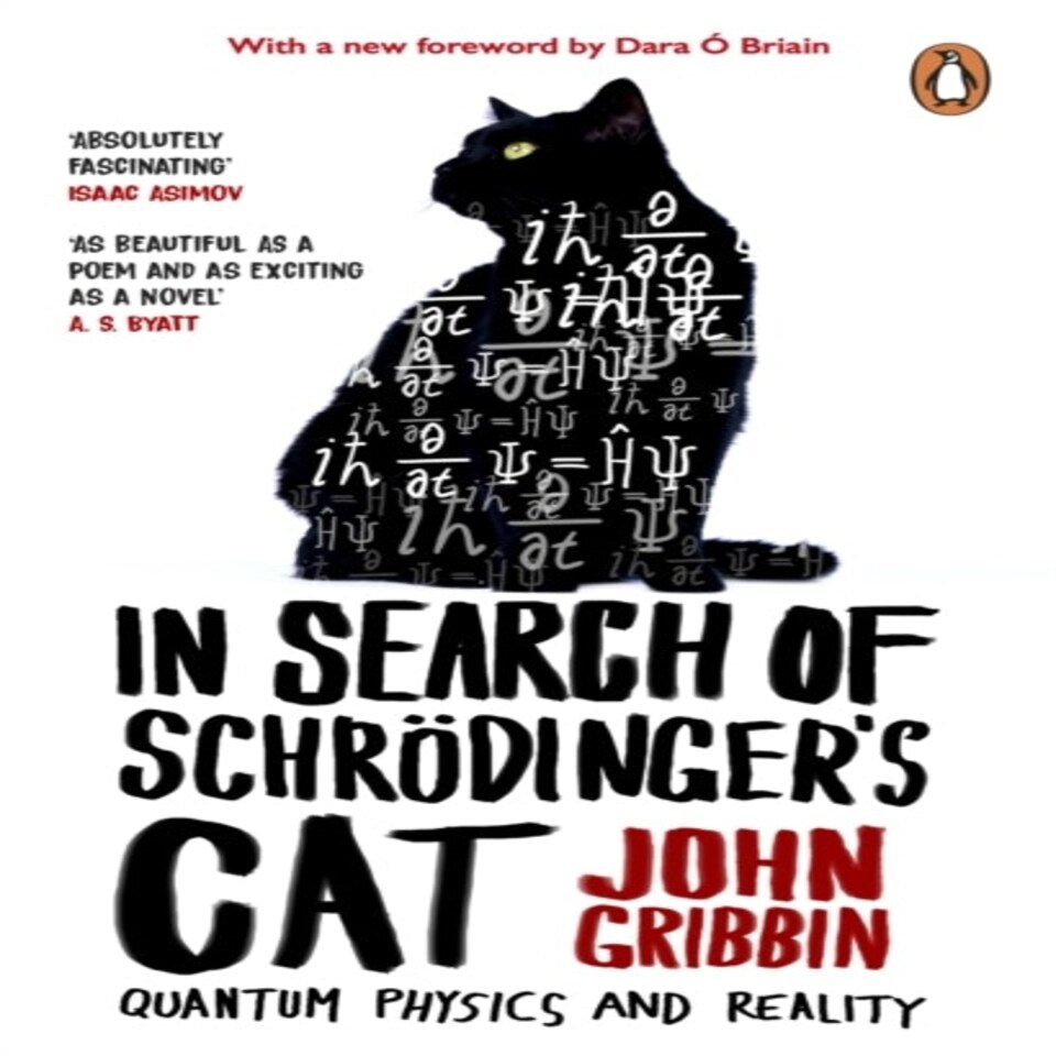 In Search Of Schrodingers Cat