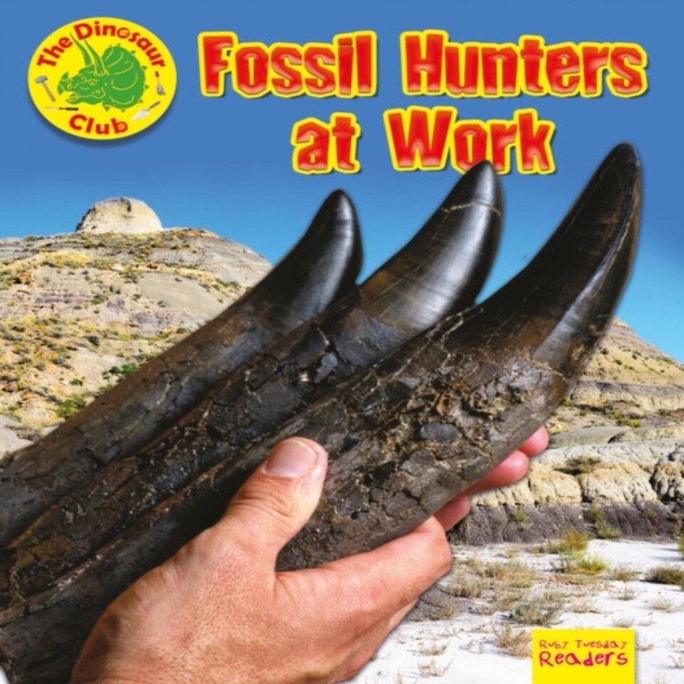 Fossil Hunters At Work