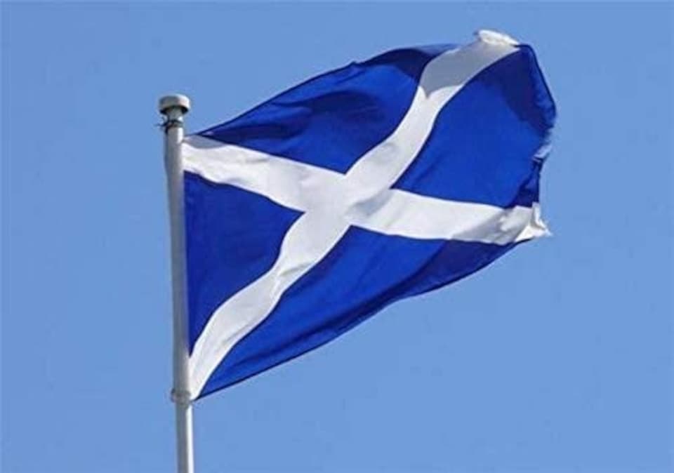 image 1 of Scotland Flag 5x3ft With Eyelets | Yellow
