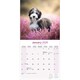 image 3 of Bearded Collie 2026 Calendar | Square Wall Calendar | Dog Breed Gift | Plastic Free Packaging | by Avonside Publishing