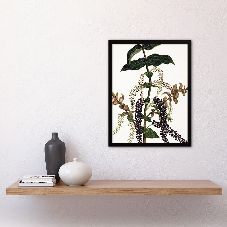 image 1 of New Zealand Tutu Plant Vintage Artwork Featon Framed Wall Art Print 12X16"