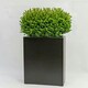 image 2 of Primrose Large Black Stone Composite Tall Trough Indoor Outdoor Planter 80cm