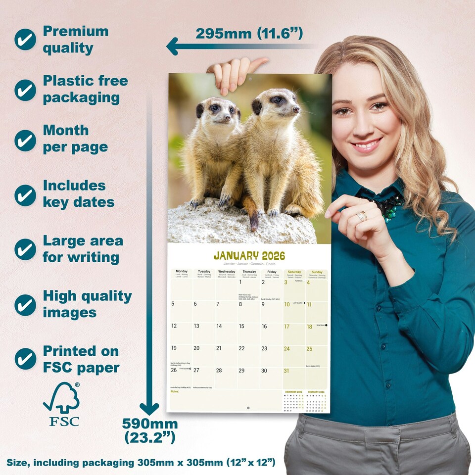 image 1 of Meerkats 2026 Calendar | Square Wall Calendar | Animal Gift | Plastic Free Packaging | by Avonside Publishing
