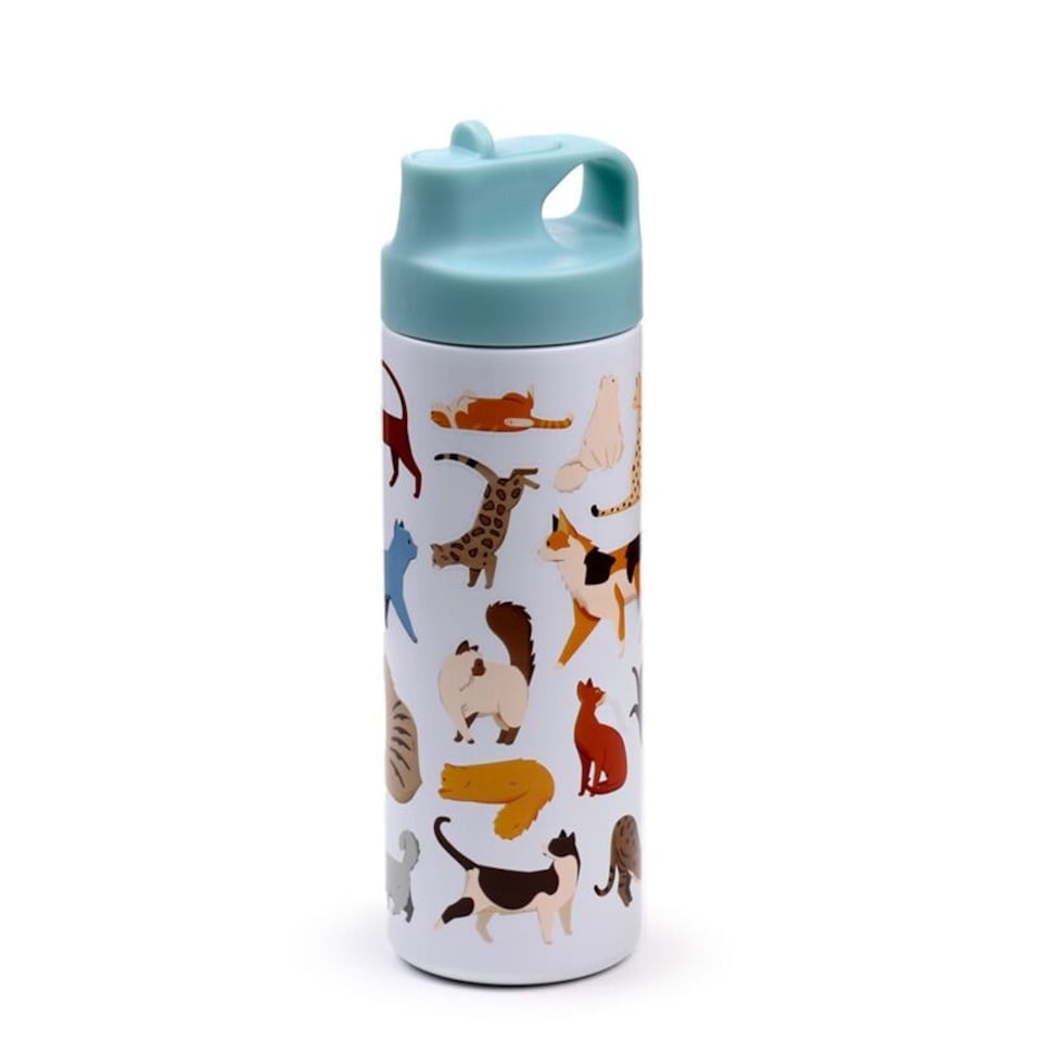 image 1 of Feline Fine Cats Hot & Cold Flip Top Drinks Bottle 500ml
