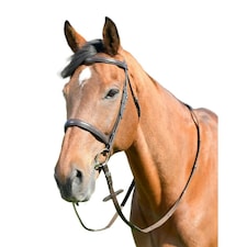 Kincade Classic Leather Horse Cavesson Bridle With Reins - Brown - Full