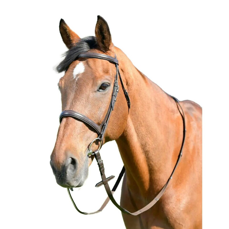 Kincade Classic Leather Horse Cavesson Bridle With Reins - Brown - Full