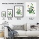 image 3 of Wild Pansy Flower Illustration Redoute Vintage Framed Wall Art Print 12X16"