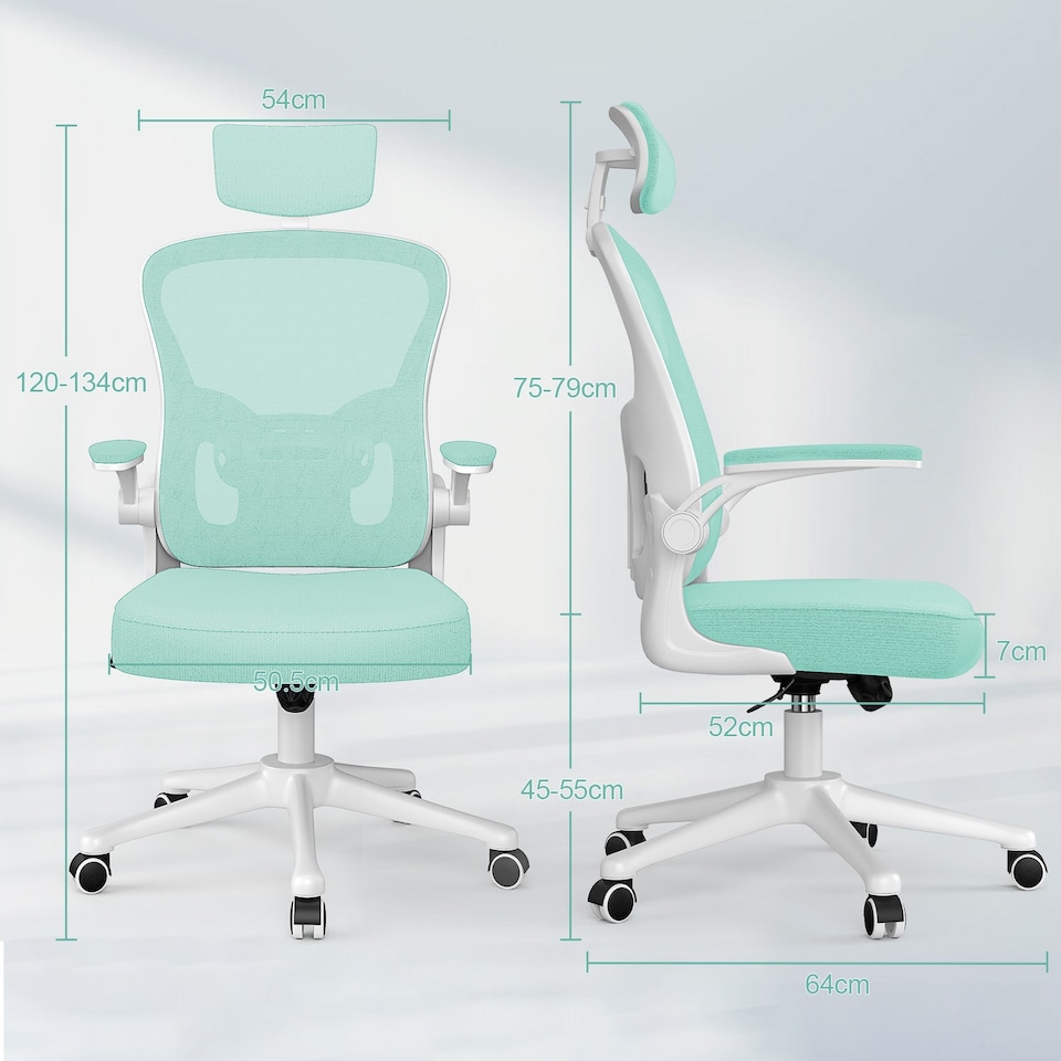 image 1 of Rattantree Ergonomic Office Chair With Headrest & Lumbar Support