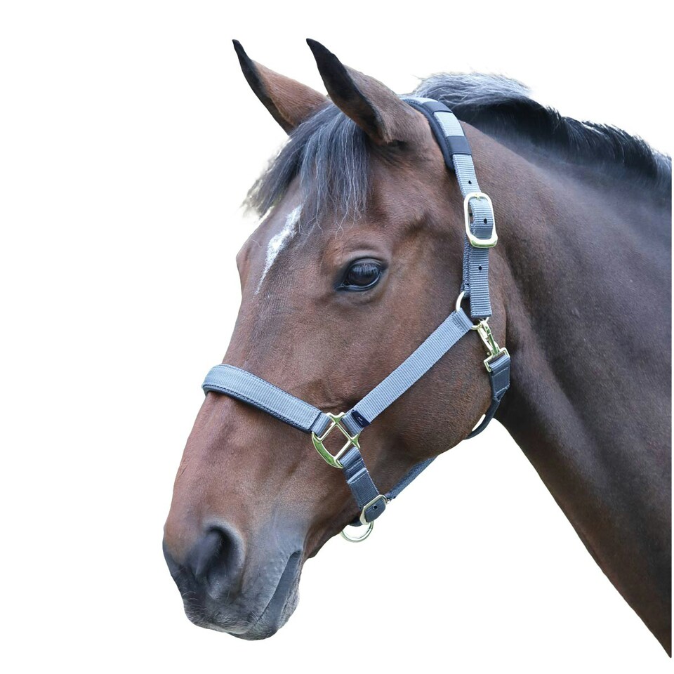 Shires Topaz Nylon Horse Headcollar - Grey - Pony