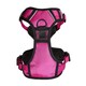 image 8 of Bunty Adventure Harness Pink | XL