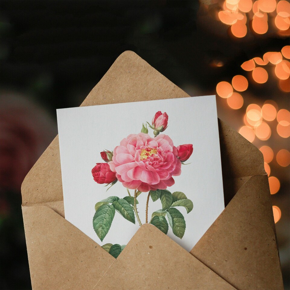 image 1 of Pierre-Joseph Redouté Art Card French Rose Vintage Botanical