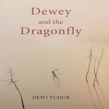 Dewey & The Dragonfly