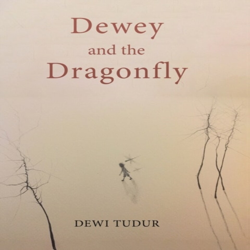 Dewey & The Dragonfly