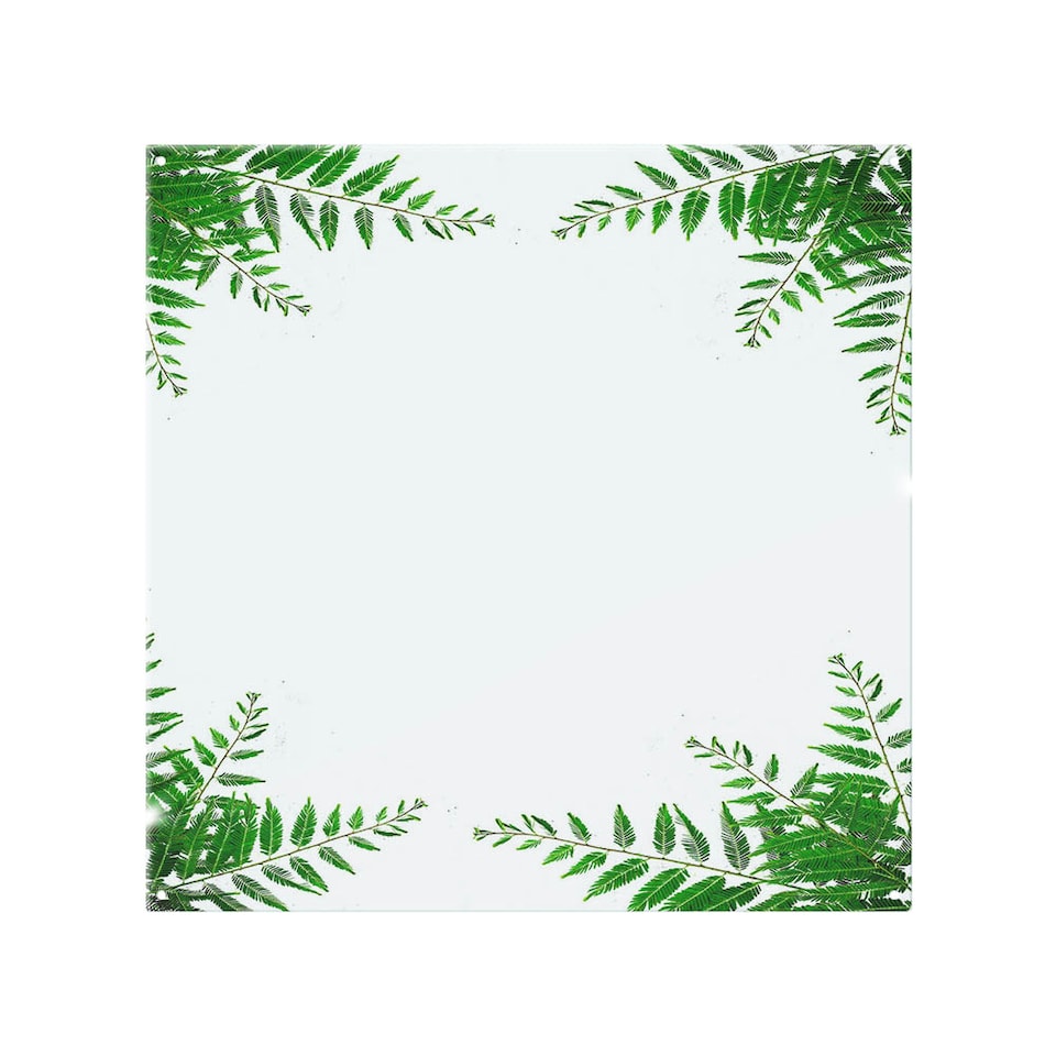 image 1 of Green Botanicals Splash Back | White