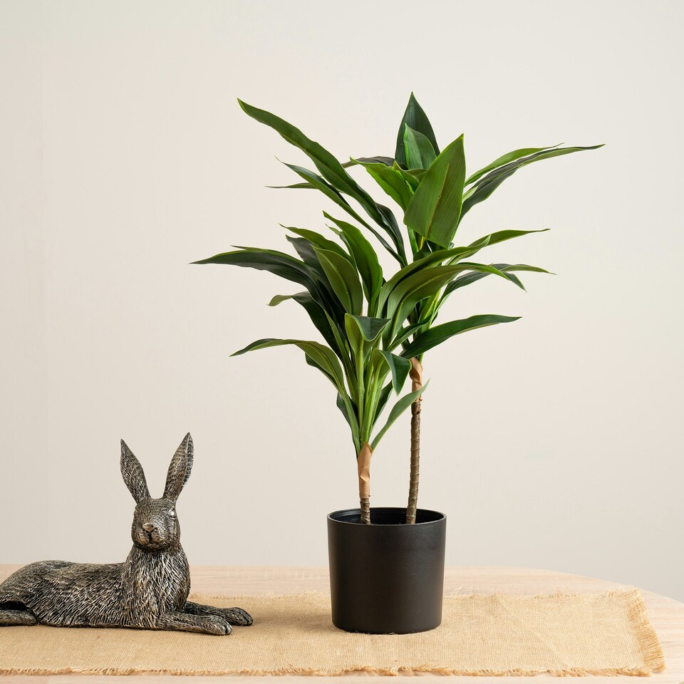 image 1 of 60Cm Real Touch Dracaena Green | One Size
