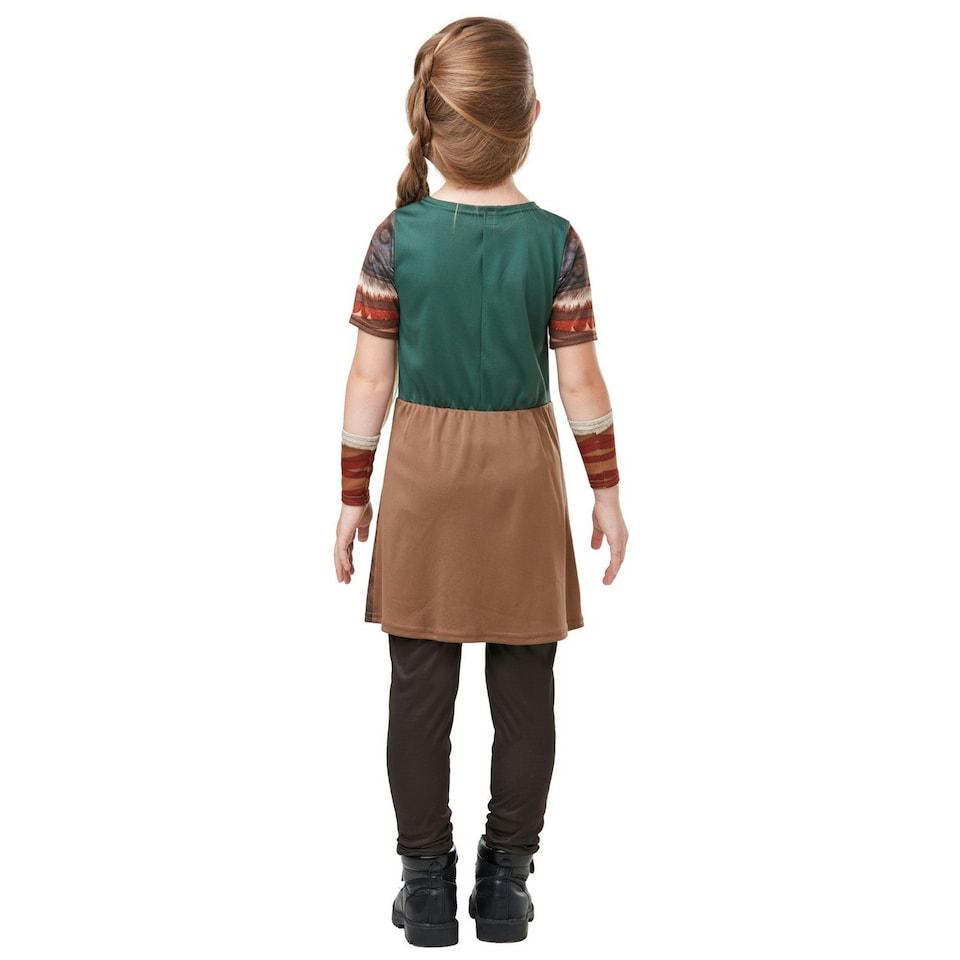 image 1 of How To Train Your Dragon Girls Astrid Costume - Brown/Blue - 3-4 Years 3