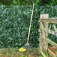 image 1 of Primrose Artificial Ivy Leaf Screening Hedge Roll Privacy Screen W3m x H1.5m
