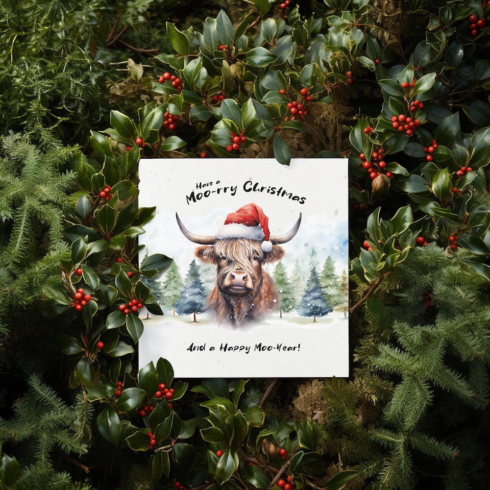 image 1 of Festive Highland Cow - Plantable Wildflower Seed Christmas Card