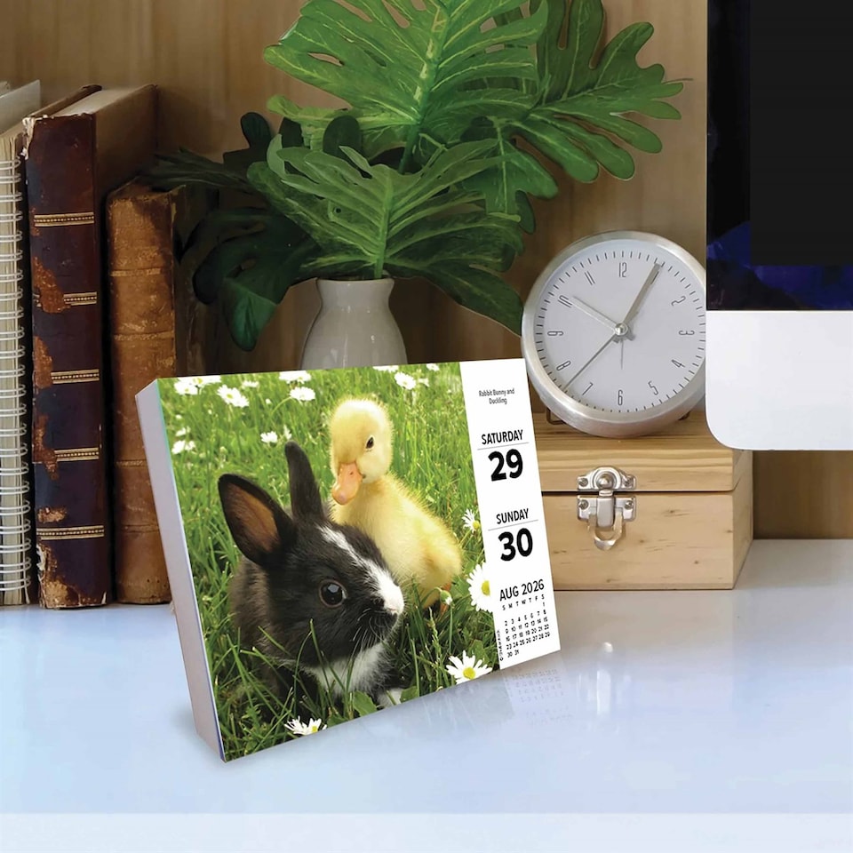 image 1 of Baby Animals Desk Calendar 2026, Desk Calendars, Day To View, Animals, Gift